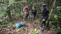 Foto: ANTARA FOTO/NOVA WAHYUDI