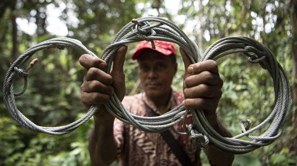 Patroli Pembersihan Jerat di Taman Nasional Kerinci Sebelat