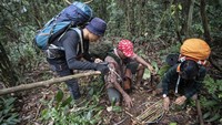 Tim Smart Patrol Lingkar Inisiatif membongkar jerat yang ditemukan di kawasan Taman Nasional Kerinci Sebelat (TNKS), Musi Rawas Utara (Muratara), Sumatera Selatan, Minggu (6/3/2022).  