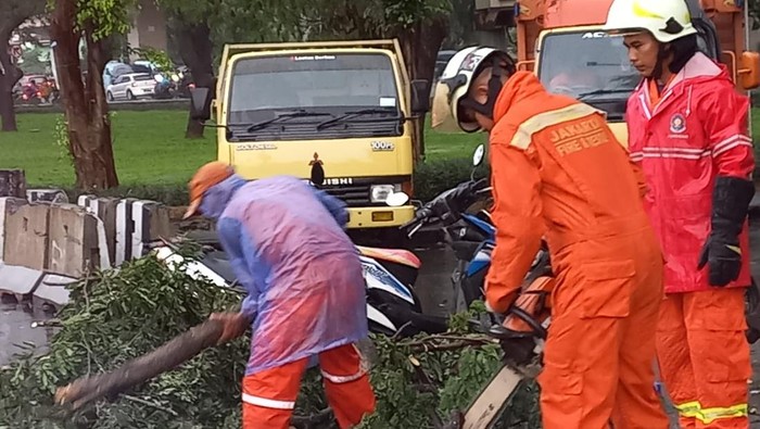 Petugas menangani pohon tumbang di Jaktim