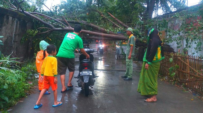 Pohon tumbang di Bekasi (Dok istimewa)