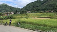 Nyaris tak ada yang tidak mengeluarkan smartphone untuk menjepret keindahan alam Cibodas, Bandung.