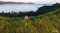 Hamparan ilalang yang menghiasi bukit di Pulau Dionumo