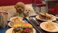Sesekali Burger & Fluffy juga mampir ke gerai sandwich. Mereka tampak imut saat berpose dengan latar sandwich di depannya.