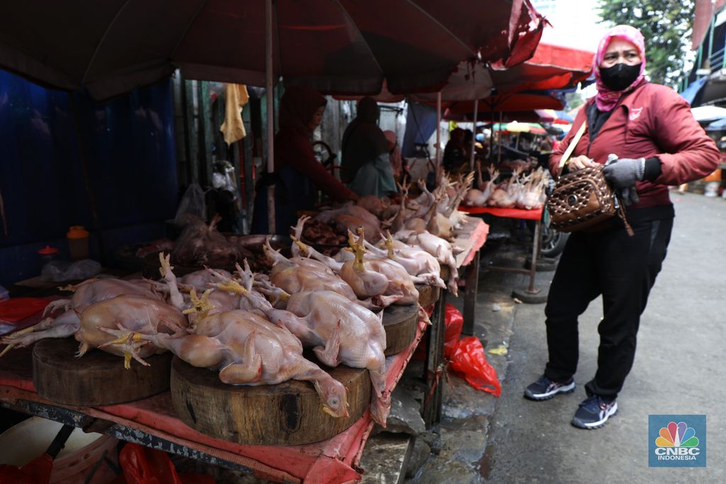 Pedagang melayani pembeli daging ayam di pasar Kebayoran lama, Jakarta, Rabu (9/3/2022). Harga daging ayam di pasaran terus merangkak naik meski belum memasuki bulan Ramadan. (CNBC Indonesia/ Tri Susilo)
