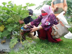 DPRD Surabaya Dorong Lahan Nganggur Dipakai Bertani-Sarana Olahraga