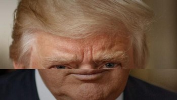 Donald Trump. Katie Nelson via Boredpanda