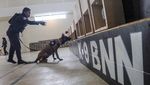 Melihat Pelatihan Anjing Pelacak