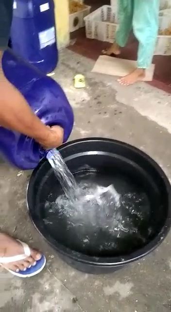 minyak goreng dicampur air