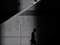 Karya Memukau Jawara Kontes Foto Ponsel 2022