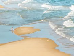 Karya Memukau Jawara Kontes Foto Ponsel 2022