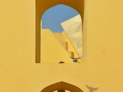 Karya Memukau Jawara Kontes Foto Ponsel 2022