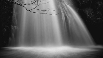 Pemenang kategori Landscape and Wildlife diraih Shinya Itahana menggunakan Sony Xperia Z5 Foto: Mobile Photography Awards