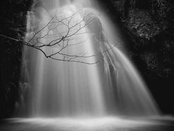 Karya Memukau Jawara Kontes Foto Ponsel 2022