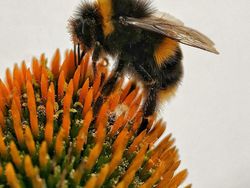 Karya Memukau Jawara Kontes Foto Ponsel 2022