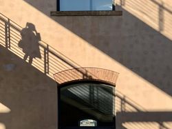 Karya Memukau Jawara Kontes Foto Ponsel 2022