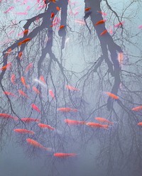 Mobile Photography Awards 2022