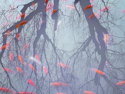 Karya Memukau Jawara Kontes Foto Ponsel 2022