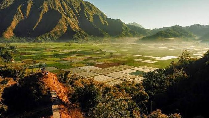 Penginapan di Sembalun, Gili dan Padangbai