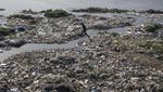 Potret Aktivitas Warga di Sungai Tawi India yang Tercemar