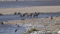 Seorang warga membawa pasir yang diambil dari Sungai Tawi.