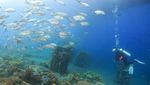 Terpesona Kawasan Terumbu Karang di Bangsring Banyuwangi