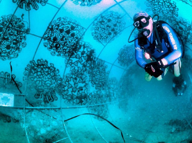 Terpesona Kawasan Terumbu Karang di Bangsring Banyuwangi