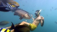 Wisatawan berenang bersama ikan di Pantai Bangsring, Banyuwangi.