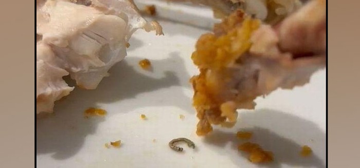 Jijik! Wanita Ini Temukan Ulat Bulu Saat Makan Ayam Goreng