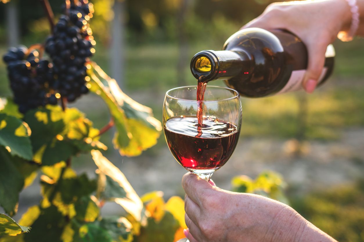 Wine Ternyata Bikin Kadar Kolesterol Naik