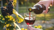 Kekurangan Peserta, Aksi Bersulang Sambil Minum Wine Gagal Pecahkan Rekor Dunia