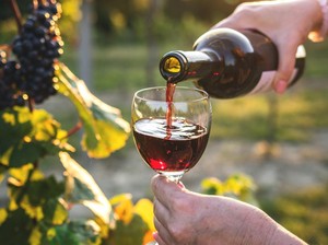 Susul Emiten Cap Tikus, Produsen Wine Bali Juga Lagi IPO