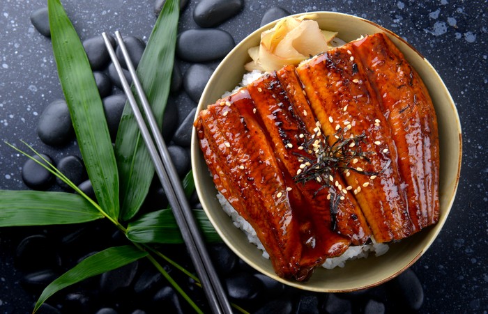 Japanese eel grilled with rice or Unagi don set on plate in Japanese style with studio lighting.