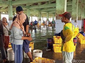 Surat Izin Melaut Sulit Didapat, Harga Ikan di Rembang Melonjak