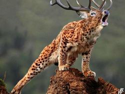 Hewan Hybrid Hasil Editan Photoshop, Seram atau Menggemaskan?