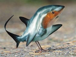 Hewan Hybrid Hasil Editan Photoshop, Seram atau Menggemaskan?