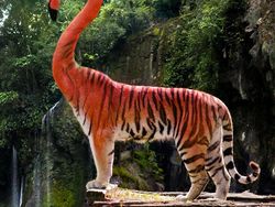 Hewan Hybrid Hasil Editan Photoshop, Seram atau Menggemaskan?