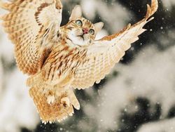 Hewan Hybrid Hasil Editan Photoshop, Seram atau Menggemaskan?