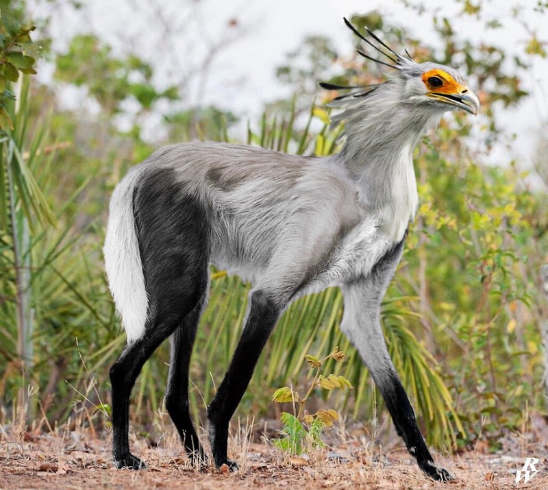 hewan hybrid editan photoshop