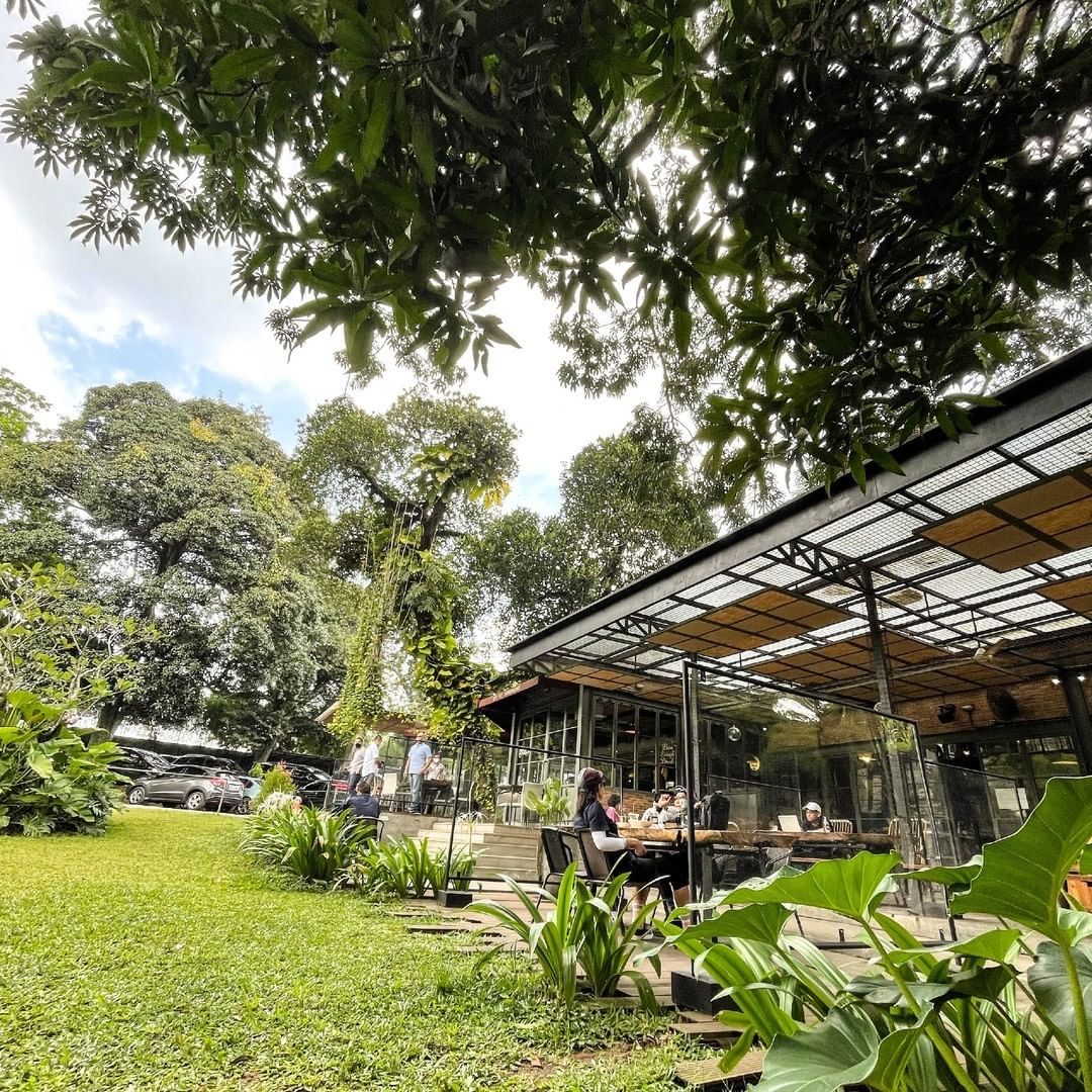 Kafe Suasana Alam di Bintaro yang Asyik Buat Nongkrong