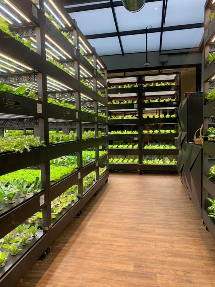 Keren Banget! Restoran Hotpot Ini Punya Kebun Sayuran Sendiri di Dalamnya