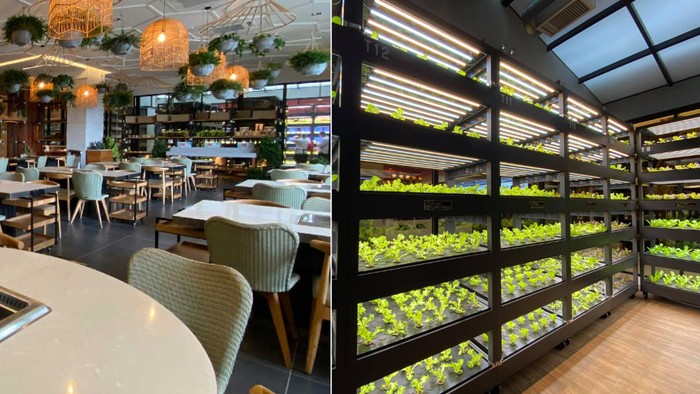 Keren Banget! Restoran Hotpot Ini Punya Kebun Sayuran Sendiri di Dalamnya