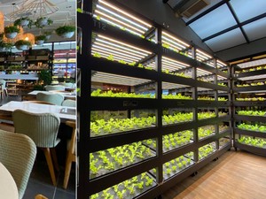 Keren Banget! Restoran Hotpot Ini Punya Kebun Sayuran Sendiri di Dalamnya