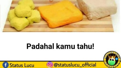 10 Meme Tentang Tahu Ini Bikin Bingung sekaligus Ngakak