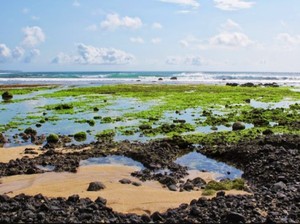 Pantai Parang Ireng Banyuwangi Dikenal Eksotis-Masih Perawan, Ini Penampakannya