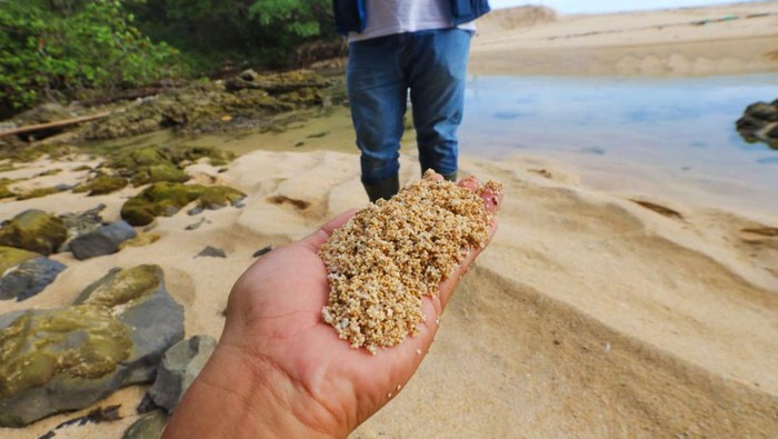 Pantai Parangireng Banyuwangi