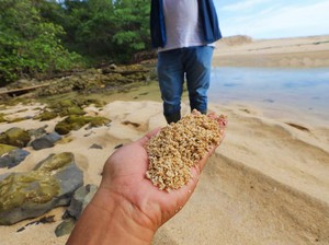 Menyambangi Situs Geologi Istimewa di Pantai Parang Ireng Banyuwangi