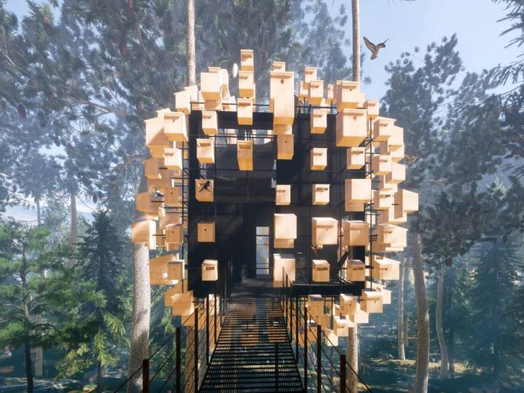 Bobo Cantik dengan Ratusan Burung di Swedia