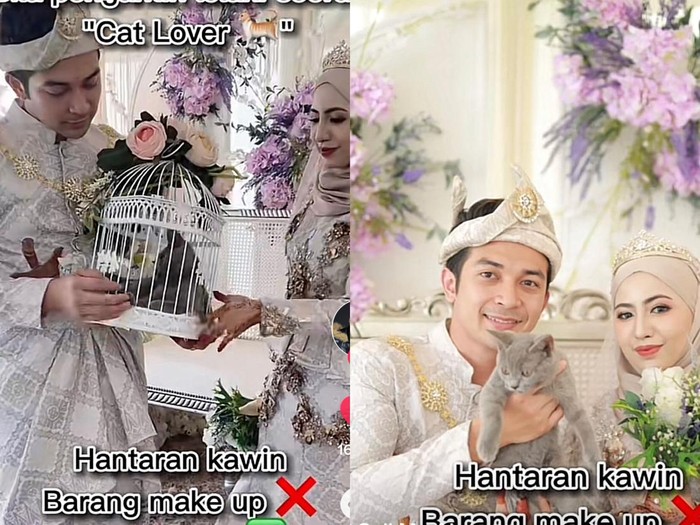 Pengantin wanita yang memberikan hantaran pernikahan kucing viral di media sosial.