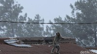 Dengan gesitnya kawanan monyet ini menaiki atap warung-warung yang berada di Puncak.